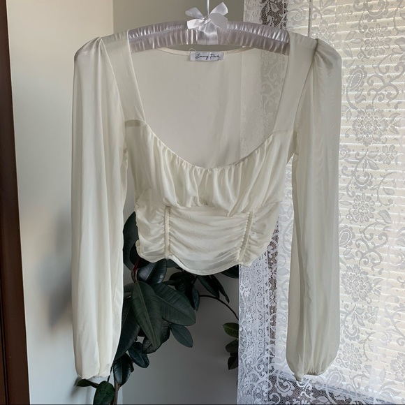 Beautiful Sheer Mesh Long Sleeve - Picture 1 of 5